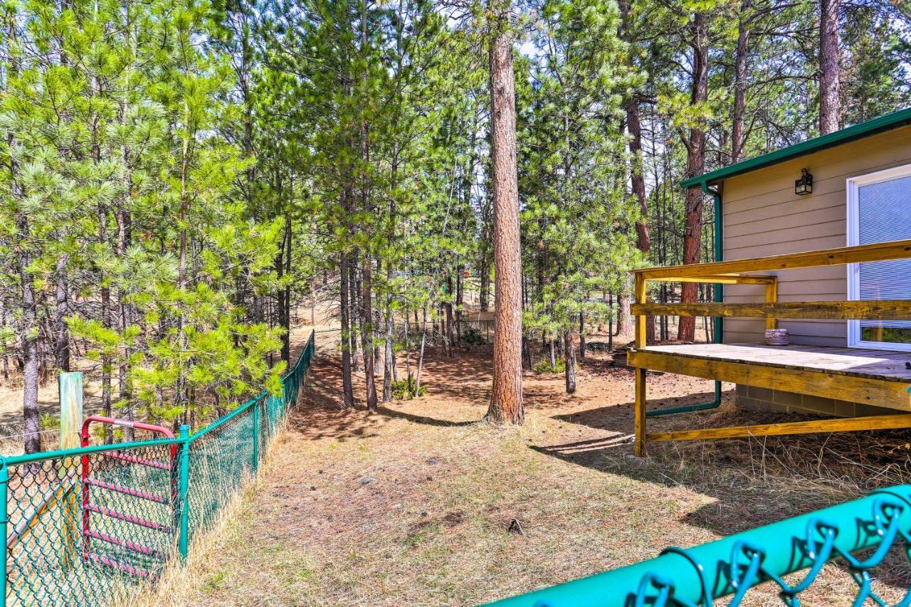 Private Black Hills Home With Corral Horses Welcome كاستر المظهر الخارجي الصورة