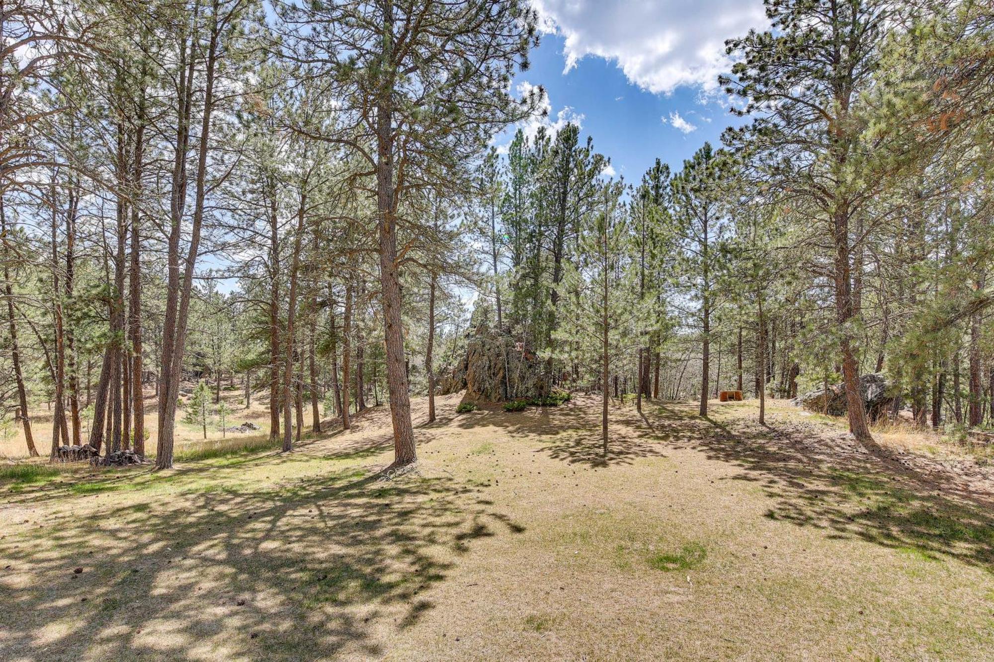 Private Black Hills Home With Corral Horses Welcome كاستر المظهر الخارجي الصورة