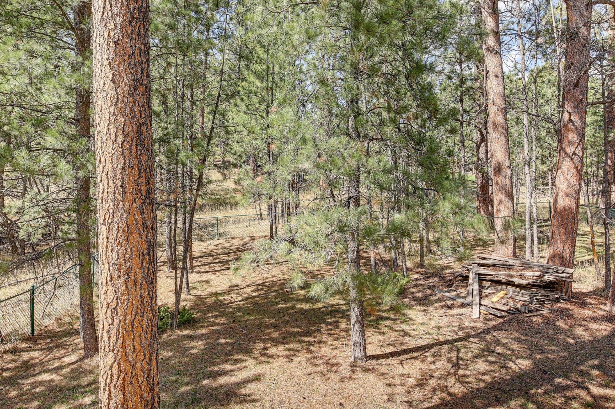 Private Black Hills Home With Corral Horses Welcome كاستر المظهر الخارجي الصورة